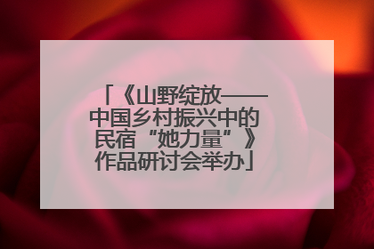 《山野绽放——中国乡村振兴中的民宿“她力量”》作品研讨会举办