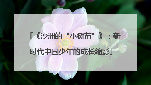 《沙洲的“小树苗”》：新时代中国少年的成长缩影