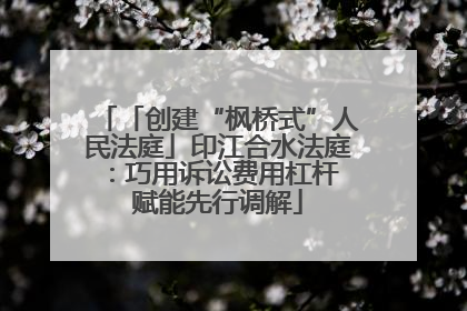 「创建“枫桥式”人民法庭」印江合水法庭：巧用诉讼费用杠杆 赋能先行调解