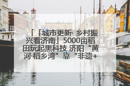 「城市更新· 乡村振兴看济南」5000亩稻田玩起黑科技 济阳“黄河·稻乡湾”靠“非遗+露营”火出圈