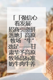「强信心 看发展·招商引资拼落地」高原牧场“牛”劲足——甘肃华予高原牧场高标准奶牛肉牛养殖项目一线见闻