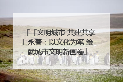 「文明城市 共建共享」永春：以文化为笔 绘就城市文明新画卷