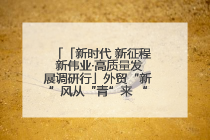 「新时代 新征程 新伟业·高质量发展调研行」外贸“新”风从“青”来 “双向奔赴”启新程