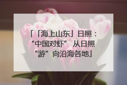 「海上山东」日照：“中国对虾” 从日照“游”向沿海各地