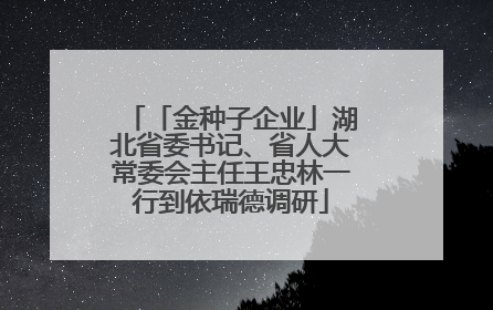 「金种子企业」湖北省委书记、省人大常委会主任王忠林一行到依瑞德调研