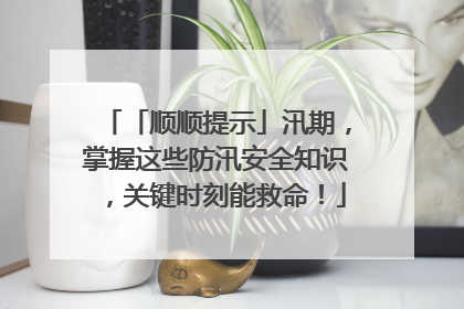 「顺顺提示」汛期，掌握这些防汛安全知识，关键时刻能救命！
