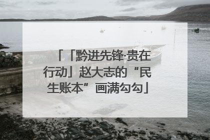 「黔进先锋·贵在行动」赵大志的“民生账本”画满勾勾