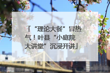 “理论大餐”冒热气！叶县“小庭院 大讲堂”沉浸开讲