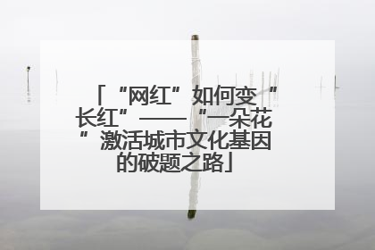“网红”如何变“长红”——“一朵花”激活城市文化基因的破题之路