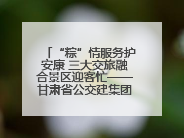 “粽”情服务护安康 三大交旅融合景区迎客忙——甘肃省公交建集团全力做好端午假期景区运营工作