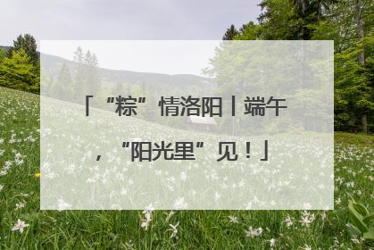 “粽”情洛阳丨端午，“阳光里”见！