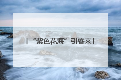 “紫色花海”引客来