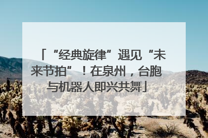 “经典旋律”遇见“未来节拍”！在泉州，台胞与机器人即兴共舞