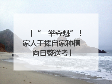 “一举夺魁”！家人手捧自家种植向日葵送考