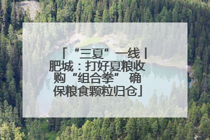 “三夏”一线丨肥城：打好夏粮收购“组合拳” 确保粮食颗粒归仓