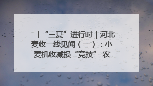 “三夏”进行时｜河北麦收一线见闻（一）：小麦机收减损“竞技” 农机高手麦田“过招”
