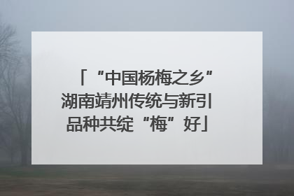 “中国杨梅之乡”湖南靖州传统与新引品种共绽“梅”好