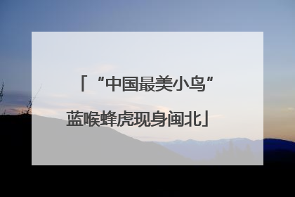 “中国最美小鸟”蓝喉蜂虎现身闽北