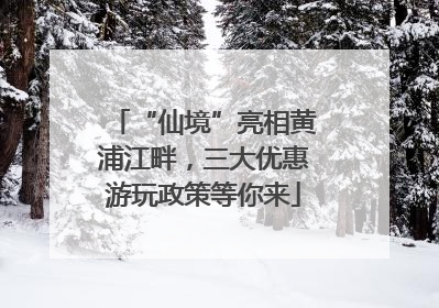 “仙境”亮相黄浦江畔，三大优惠游玩政策等你来
