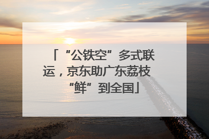 “公铁空”多式联运，京东助广东荔枝“鲜”到全国