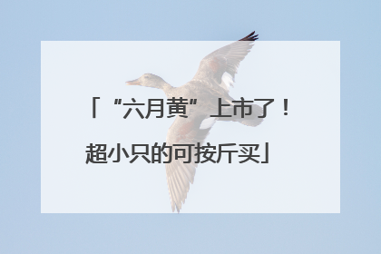 “六月黄”上市了！超小只的可按斤买
