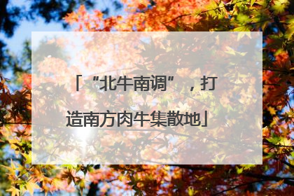 “北牛南调”，打造南方肉牛集散地