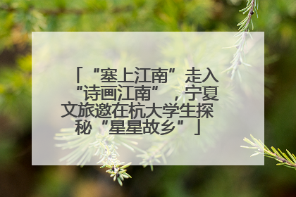 “塞上江南”走入“诗画江南”，宁夏文旅邀在杭大学生探秘“星星故乡”