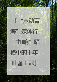 “声动青海”媒体行“扣响”暗格中的千年吐蕃王冠