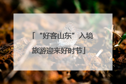 “好客山东”入境旅游迎来好时节