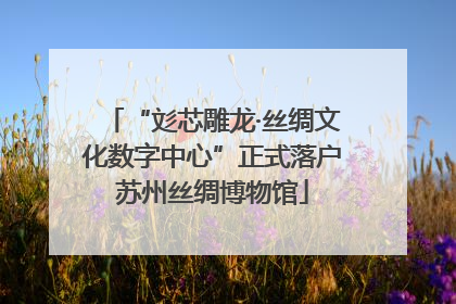 “彣芯雕龙·丝绸文化数字中心”正式落户苏州丝绸博物馆