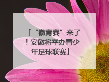 “徽青赛”来了！安徽将举办青少年足球联赛