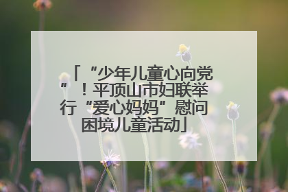 “少年儿童心向党”！平顶山市妇联举行“爱心妈妈”慰问困境儿童活动