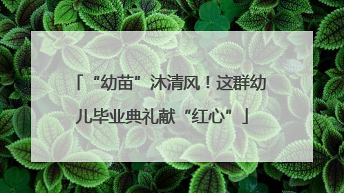 “幼苗”沐清风！这群幼儿毕业典礼献“红心”