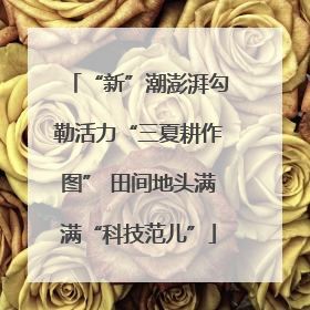 “新”潮澎湃勾勒活力“三夏耕作图” 田间地头满满“科技范儿”