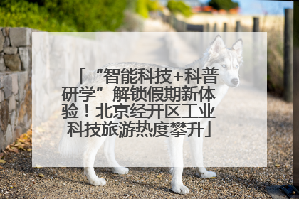 “智能科技+科普研学”解锁假期新体验！北京经开区工业科技旅游热度攀升