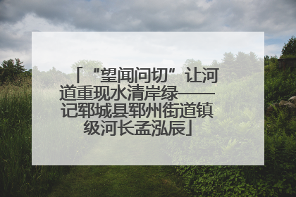 “望闻问切”让河道重现水清岸绿——记郓城县郓州街道镇级河长孟泓辰