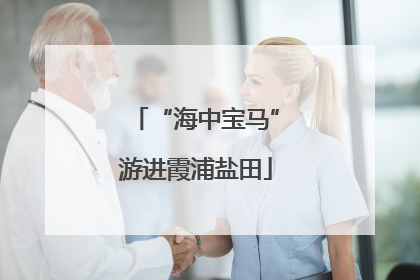 “海中宝马”游进霞浦盐田