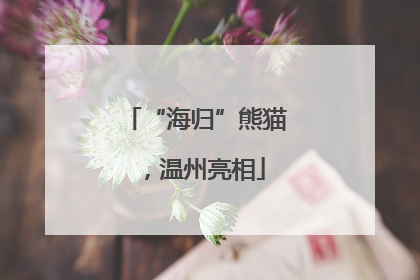 “海归”熊猫，温州亮相