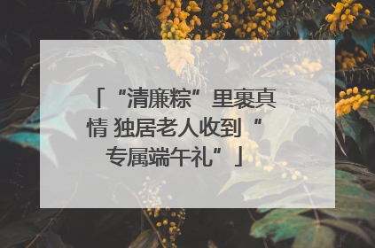 “清廉粽”里裹真情 独居老人收到“专属端午礼”