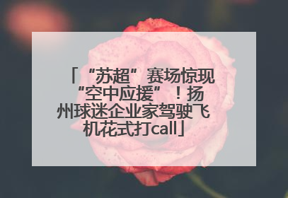“苏超”赛场惊现 “空中应援”！扬州球迷企业家驾驶飞机花式打call