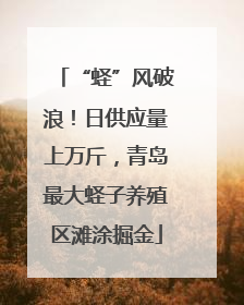 “蛏”风破浪！日供应量上万斤，青岛最大蛏子养殖区滩涂掘金