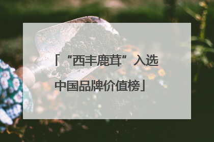 “西丰鹿茸”入选中国品牌价值榜