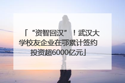 “资智回汉”！武汉大学校友企业在鄂累计签约投资超6000亿元