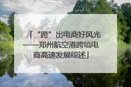 “跨”出电商好风光——郑州航空港跨境电商高速发展综述