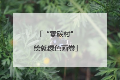 “零碳村” 绘就绿色画卷