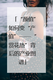“颜值”如何变“产值”——“赏花热”背后的产业图谱