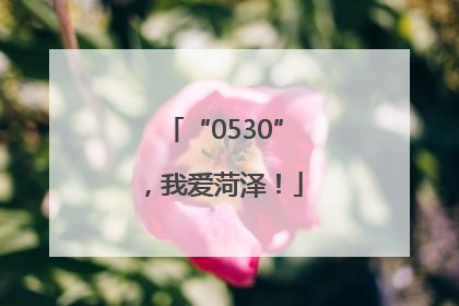 “0530”，我爱菏泽！