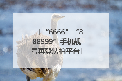 “6666”“888999”手机靓号再登法拍平台