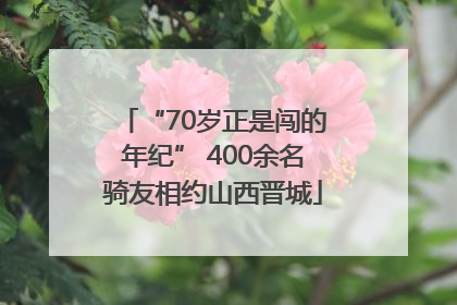 “70岁正是闯的年纪” 400余名骑友相约山西晋城