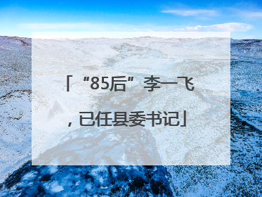 “85后”李一飞，已任县委书记